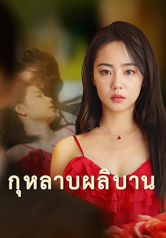 กุหลาบผลิบาน