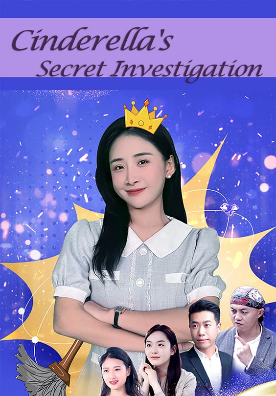 Cinderella's Secret Investigation